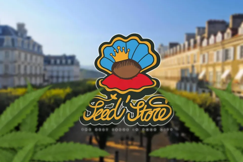 Seed Store - CBD