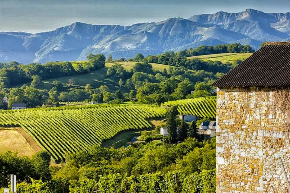 Domaine Lamanet