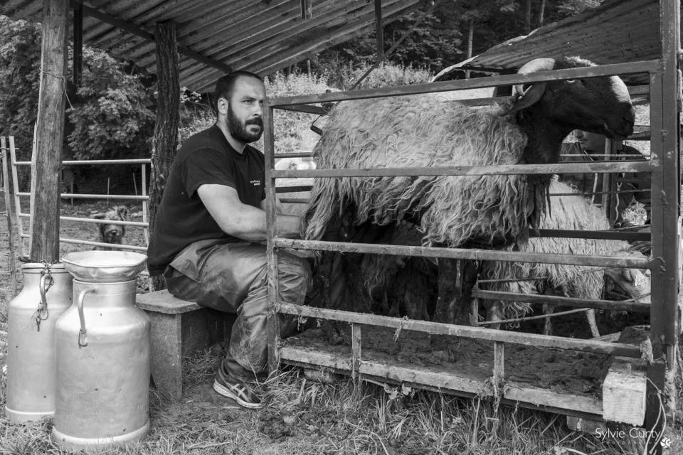 Bonnemason Farm