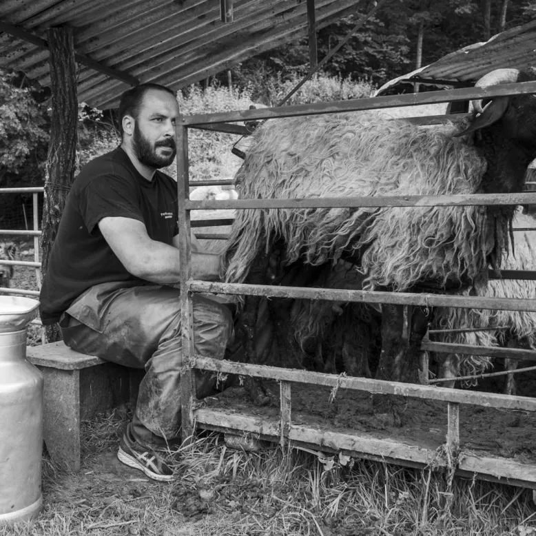 Bonnemason Farm