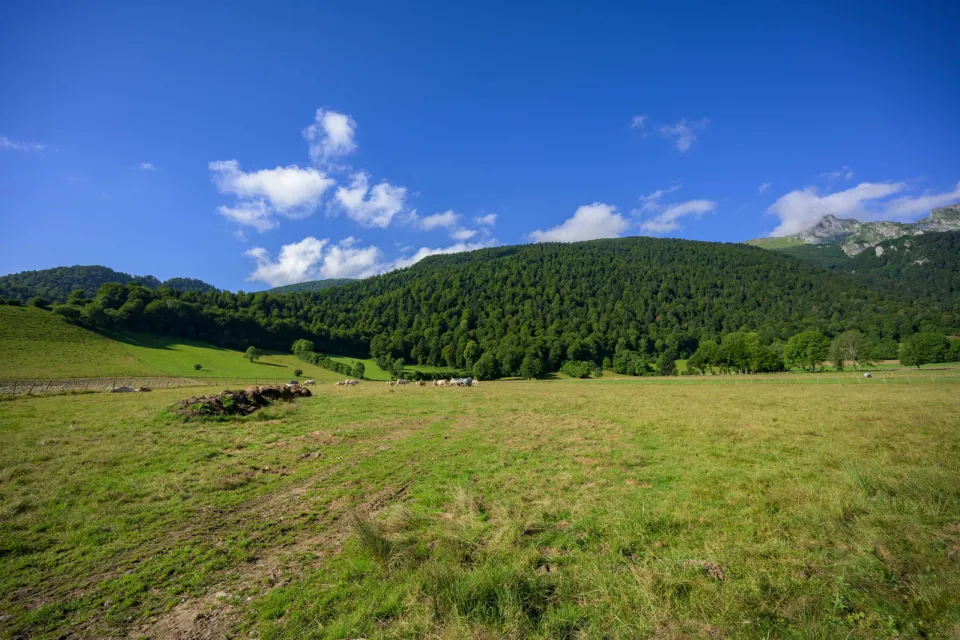 Plateau du Bénou