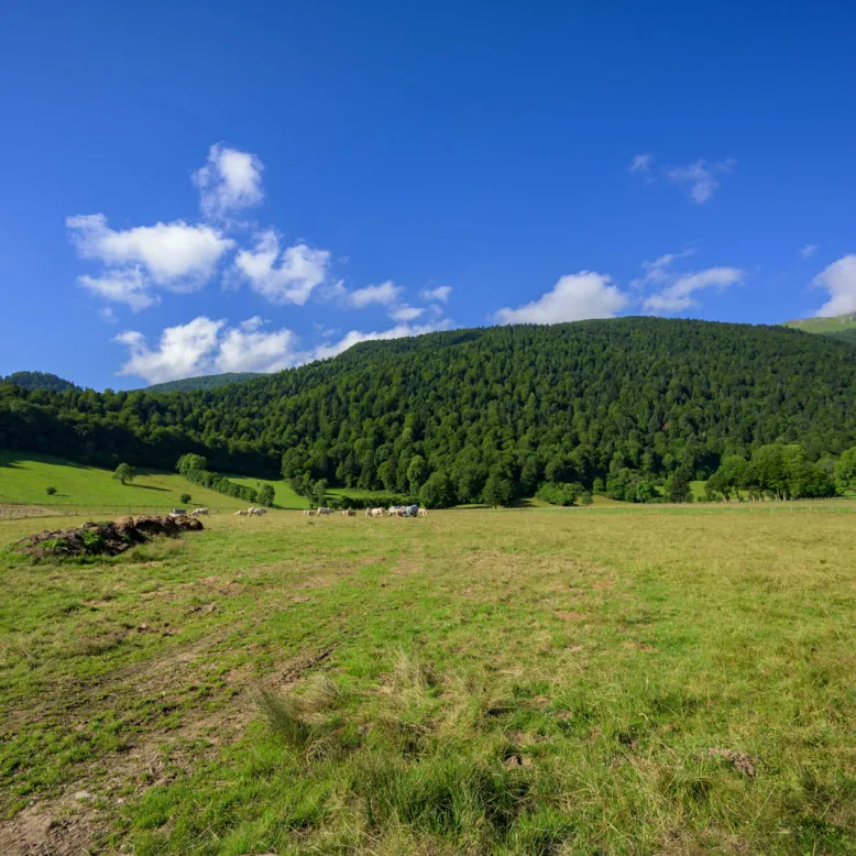 Plateau du Bénou
