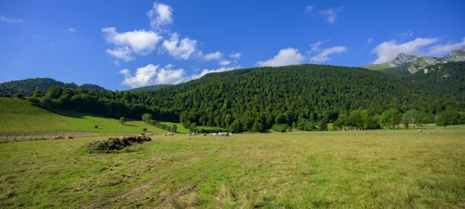 Plateau du Bénou