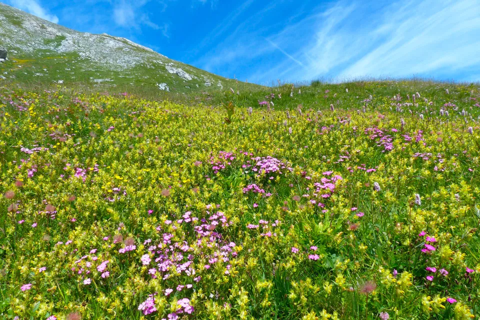 Gourzy Plateau