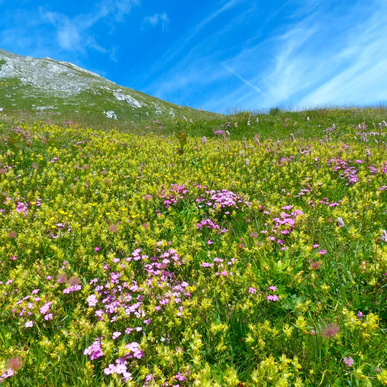 Soussouéou Valley