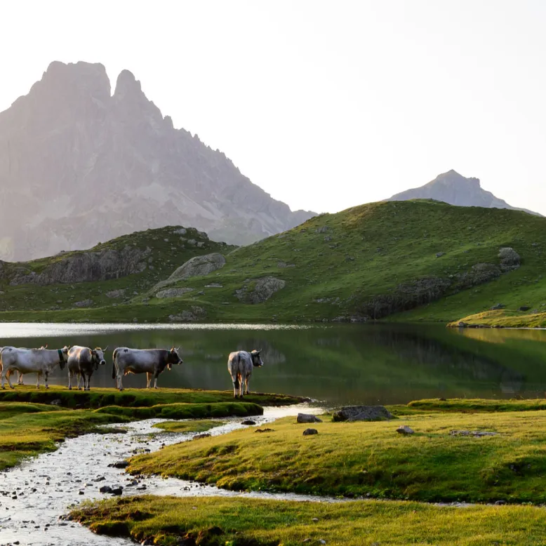 Le Parc National des Pyrénées