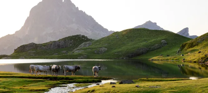 Le Parc National des Pyrénées