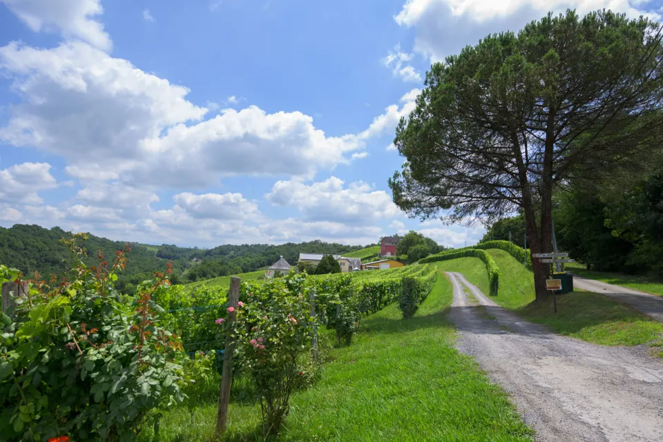 Route Touristique : Le vignoble du Jurançon Mo ...