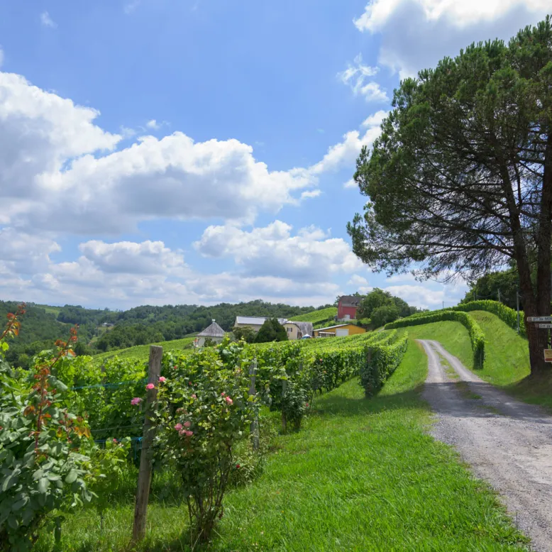 Route Touristique : Le vignoble du Jurançon Mo ...
