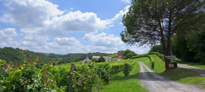 Route Touristique : Le vignoble du Jurançon Mo ...