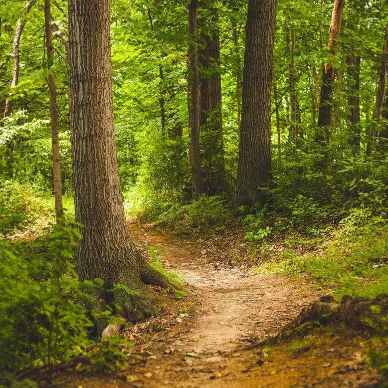 Lendresse interpretive trail