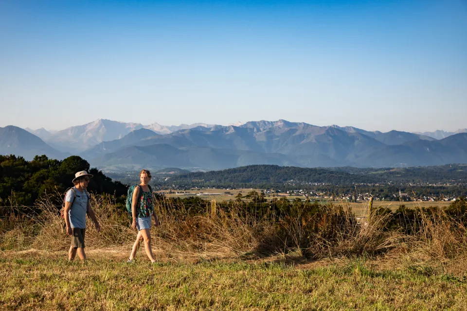 Hikes in North Béarn and Madiran vineyard