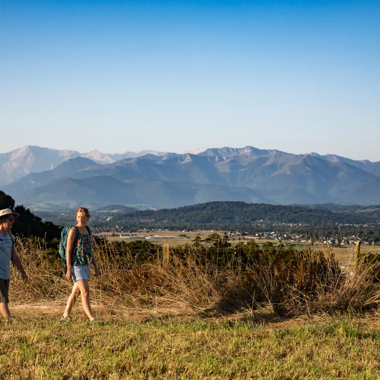 Hikes in North Béarn and Madiran vineyard