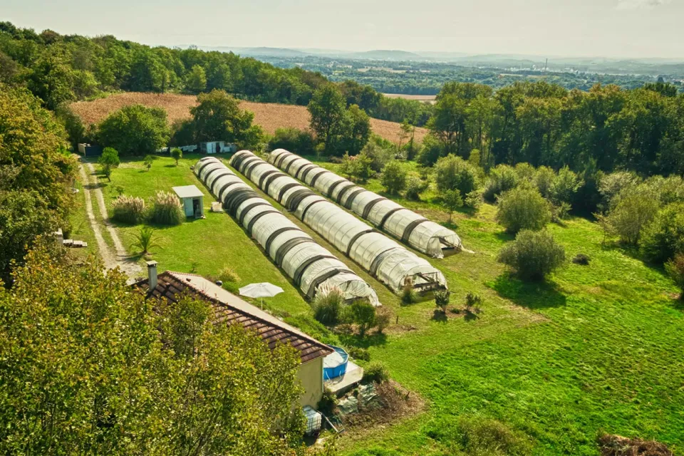 Spiruline d'Aquitaine
