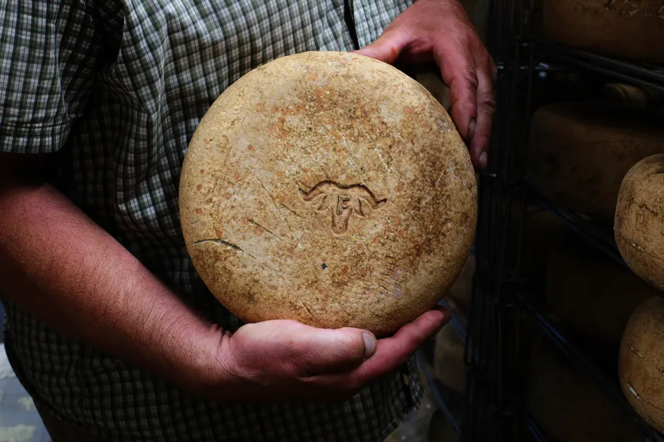 OSSAU-IRATY PDO Cheese Route