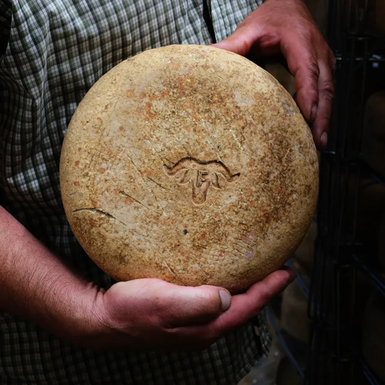 OSSAU-IRATY PDO Cheese Route