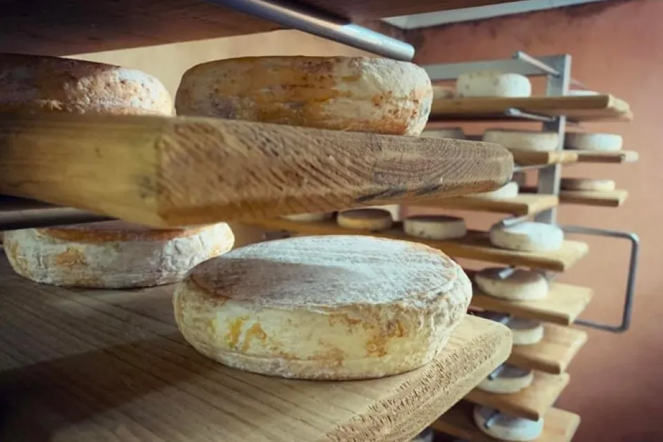 Les Chèvres d'Iseye