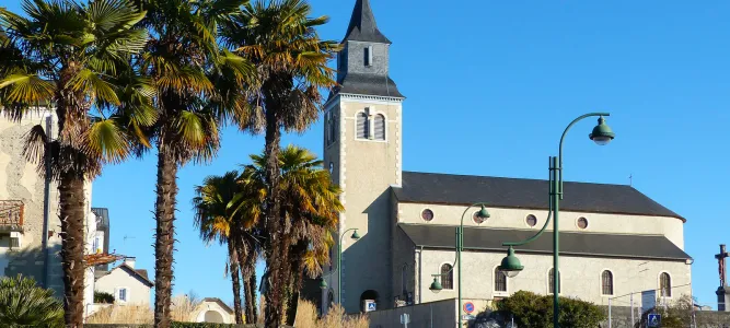 Sauvagnon