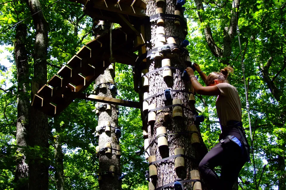 OBA'O Escalad'Arbre