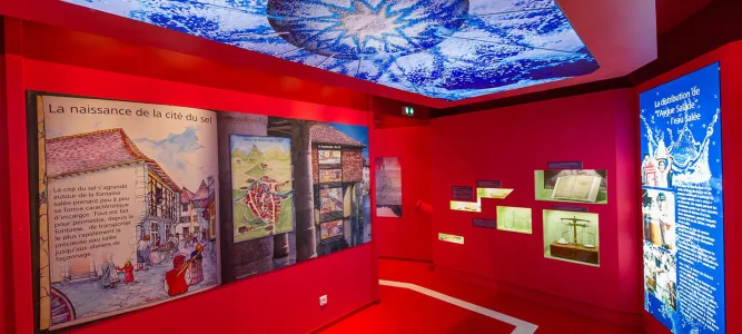 Musée Salines de Salies-de-Béarn