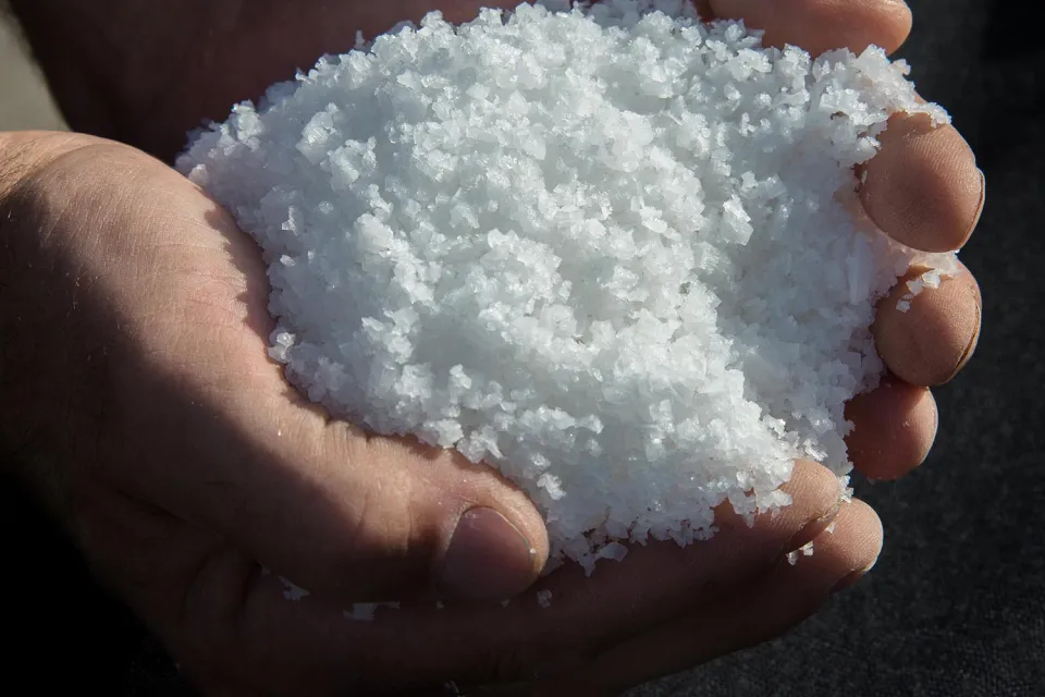 Le Sel de Salies de Béarn