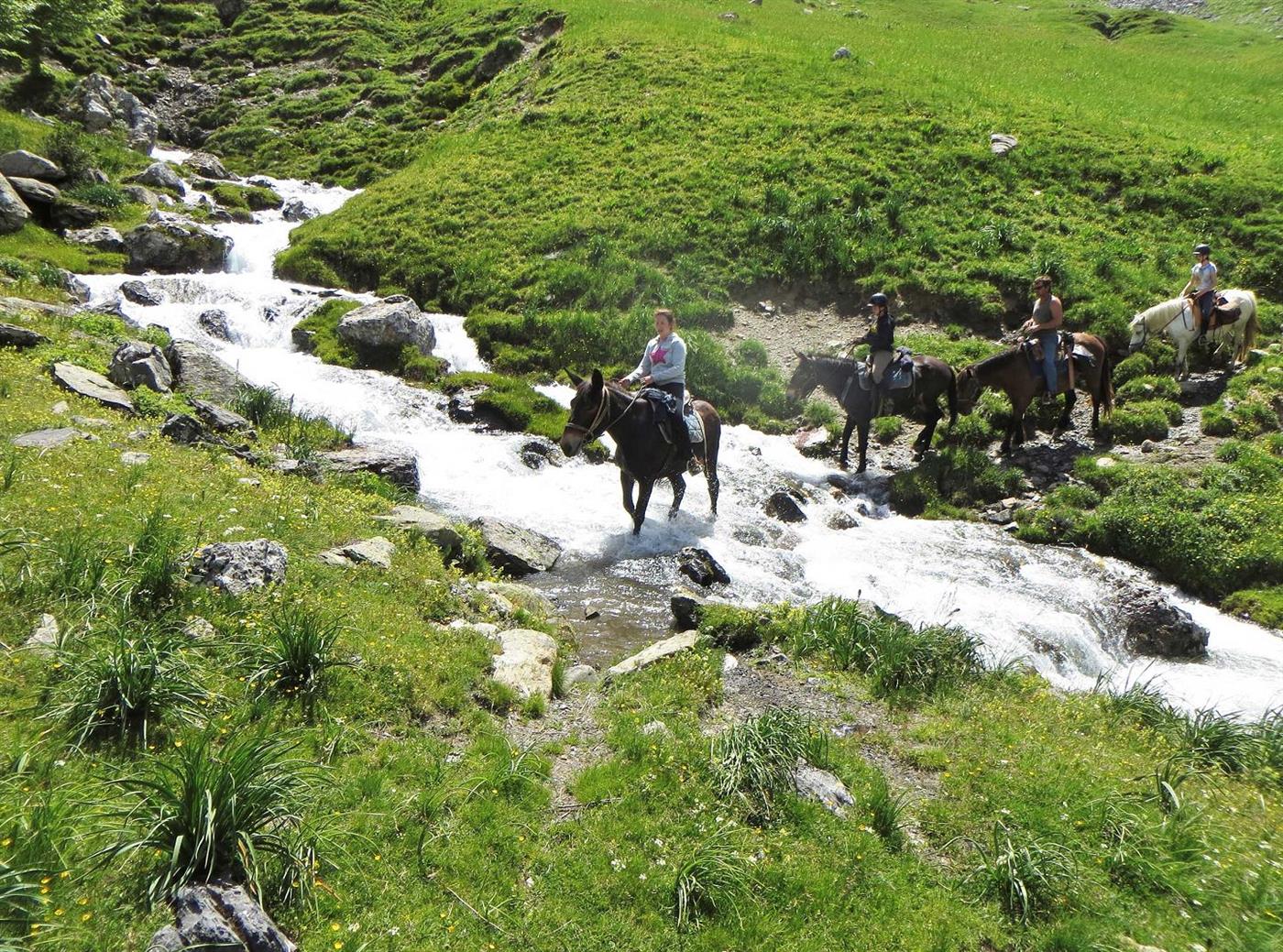 Les Chevaux du Lac de Bious