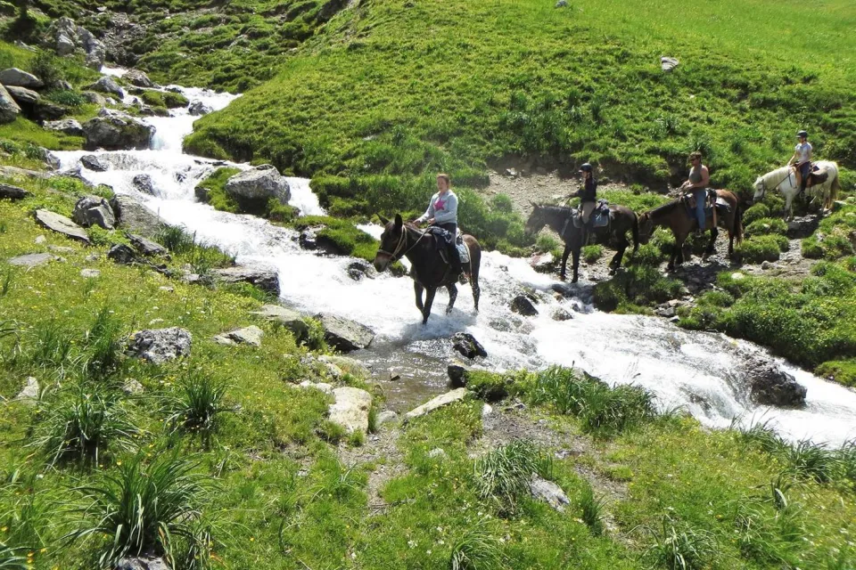 Les Chevaux du Lac de Bious
