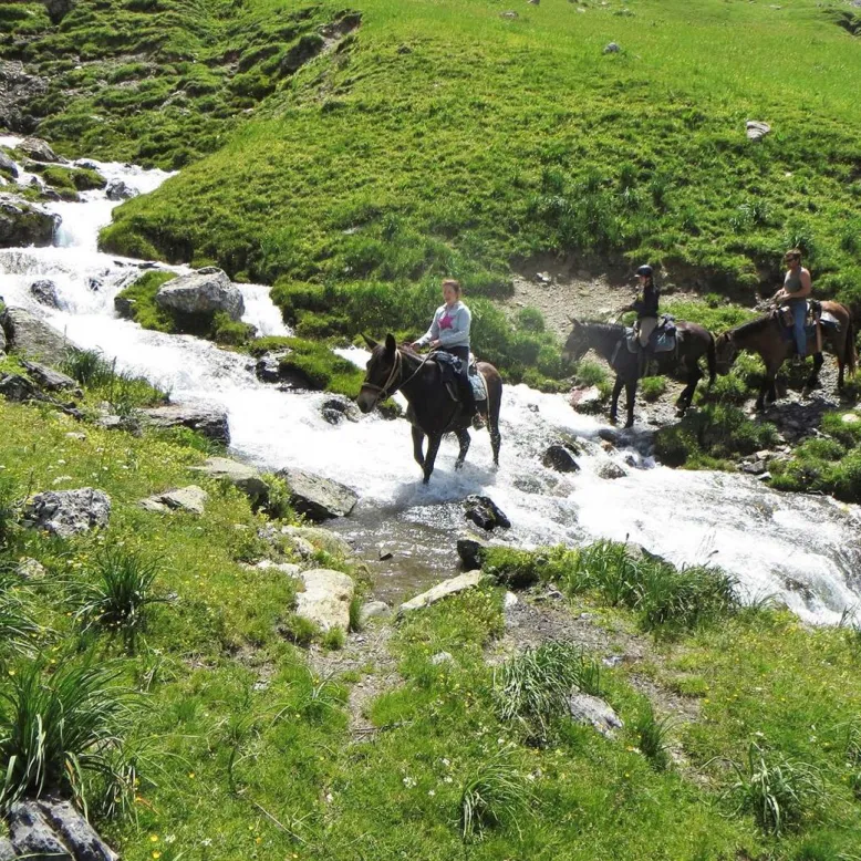 Les Chevaux du Lac de Bious