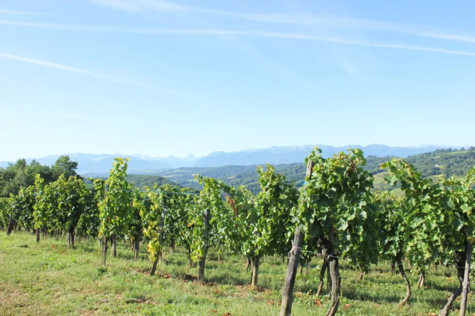 Clos Lapeyre