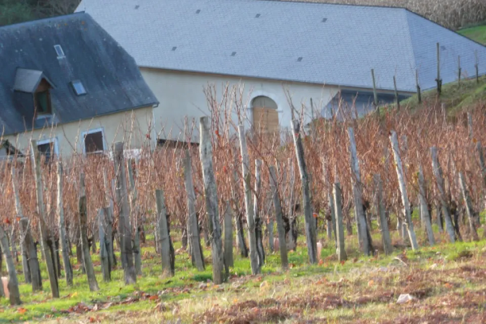 Domaine Haugarot