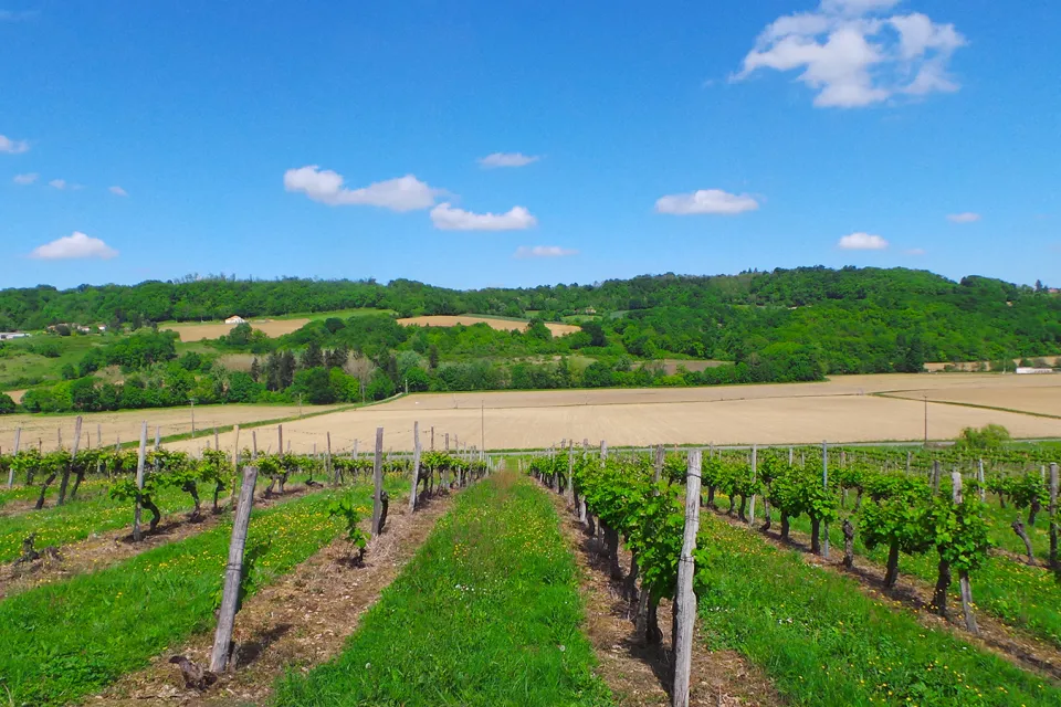 Domaine du Crampilh