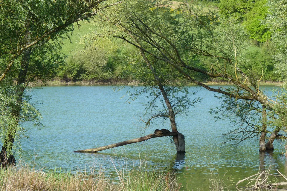Lac de Cadillon