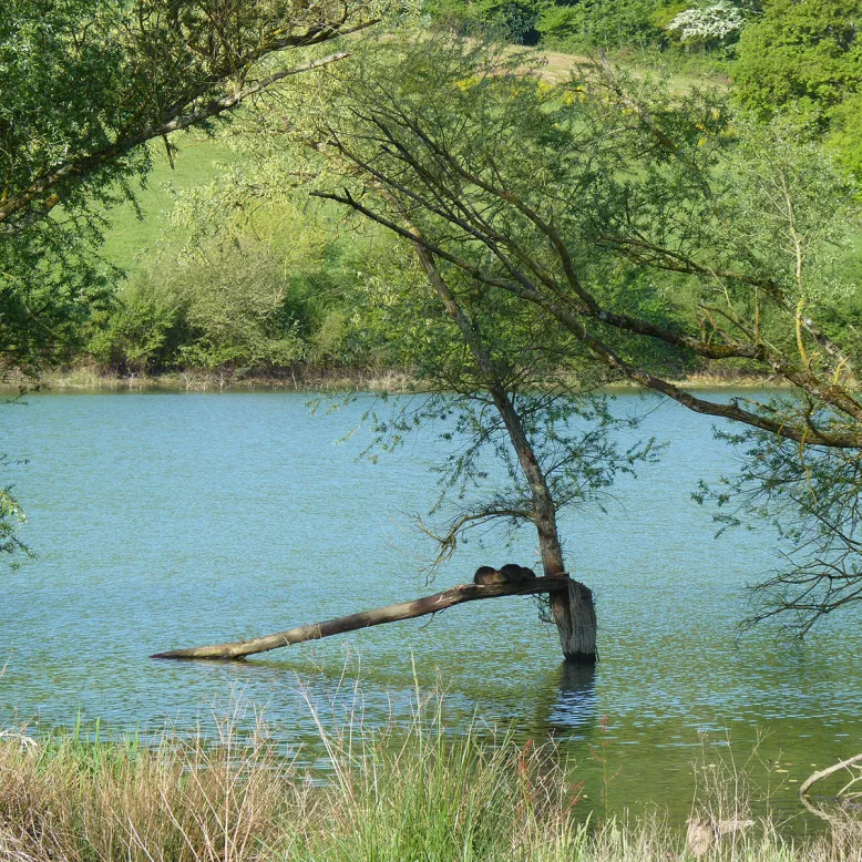 Lac de Cadillon