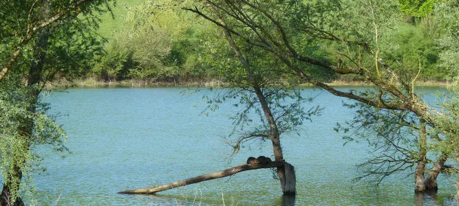 Lac de Cadillon