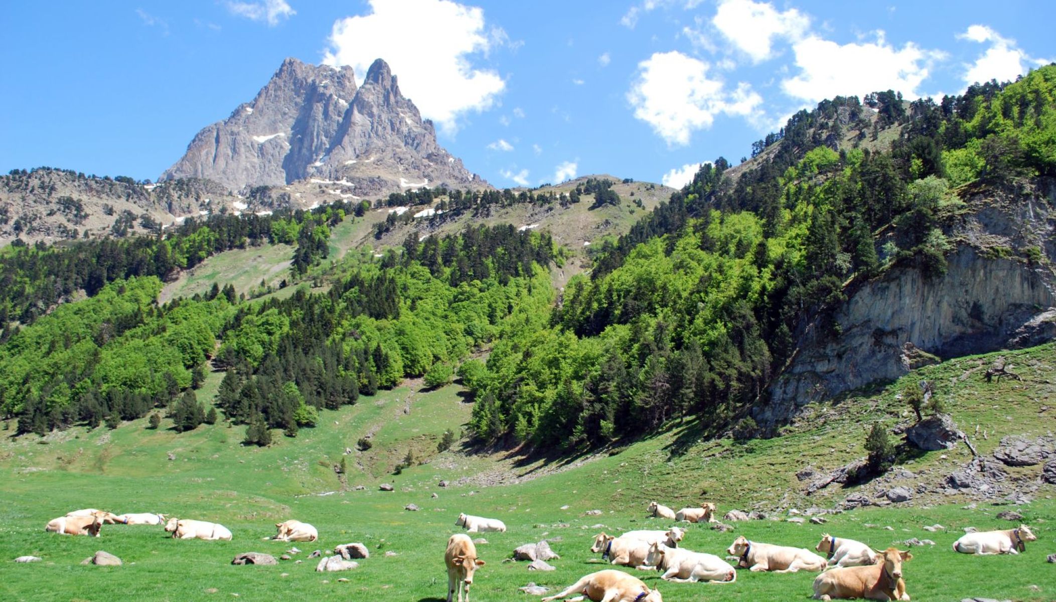 TOURISM & HOLIDAYS IN BEARN & THE PYRENEES - Guide Béarn Pyrénées