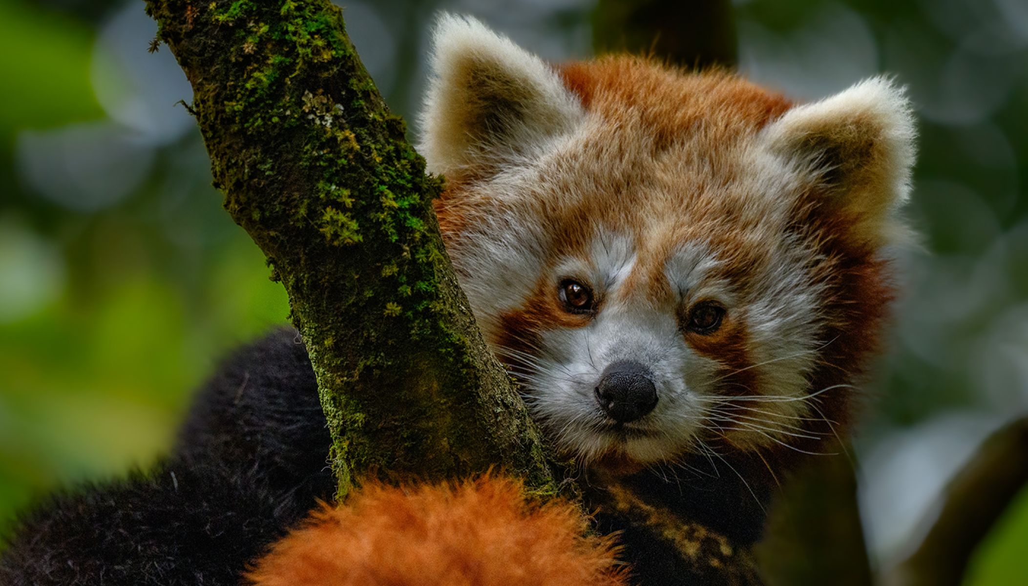 Le Zoo d’Asson : une journée dans un zoo à taille humaine