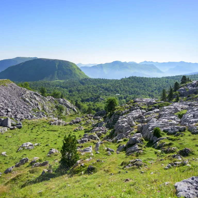 Top activities and visits in the Barétous Valley