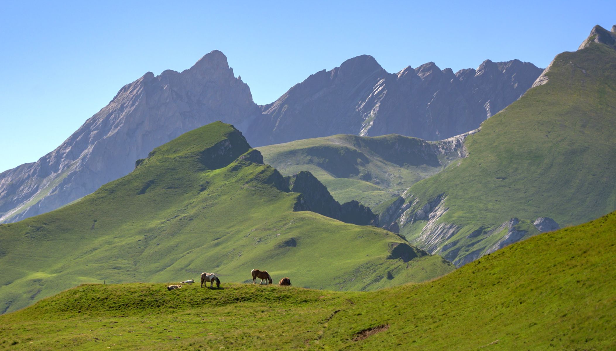 Les plus belles randonnées des Vallées Pyrénéennes du Béarn