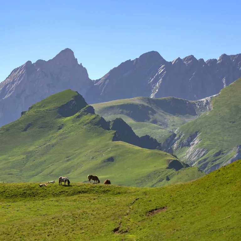 The most beautiful hikes in the Pyrenean valle ...
