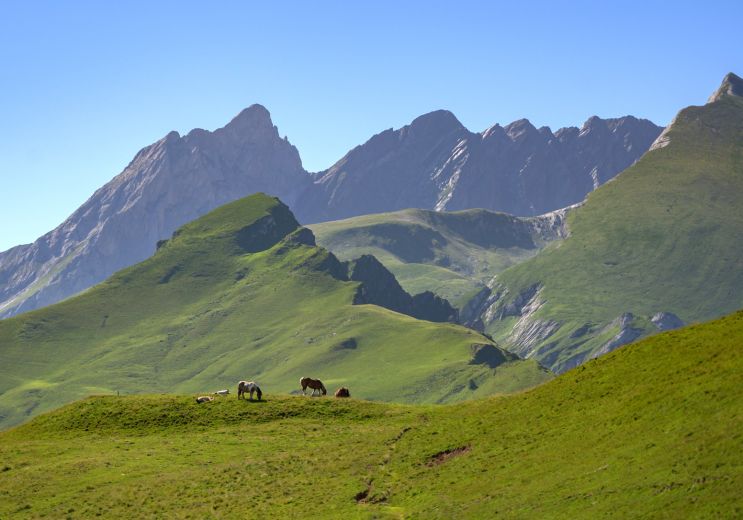 The most beautiful hikes in the Pyrenean Valle ...