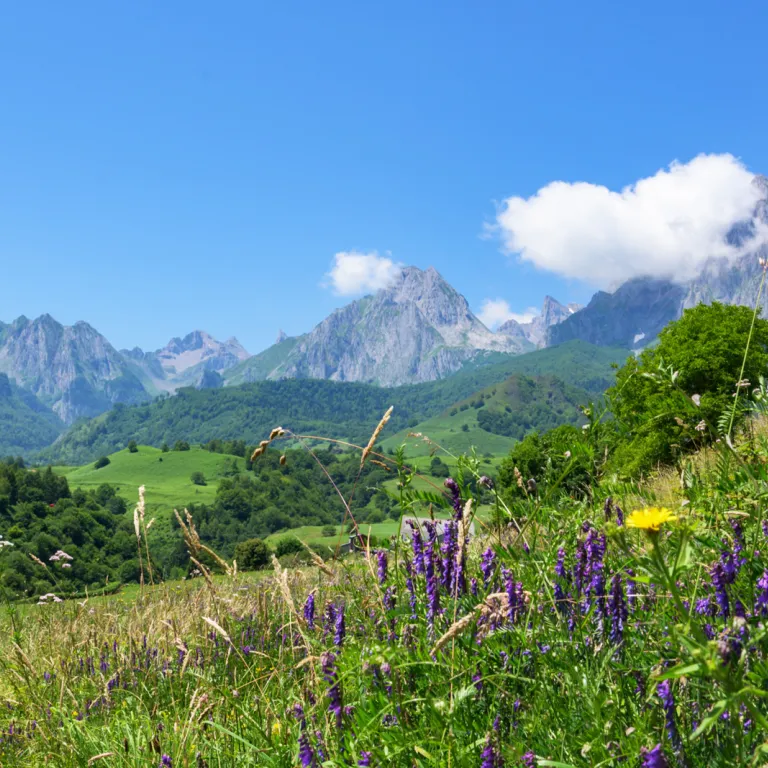 Responsible tourism in Béarn