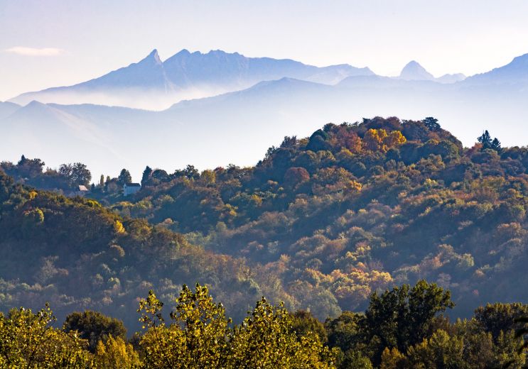 Le top 10 des visites incontournables du Béarn - Guide Béarn Pyrénées