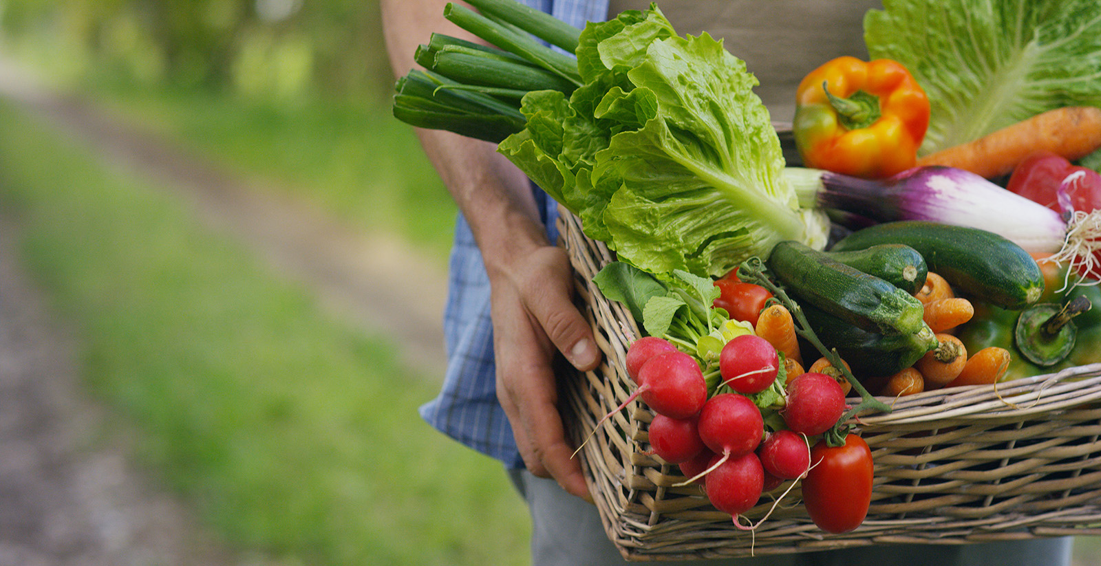 The most beautiful markets of Béarn