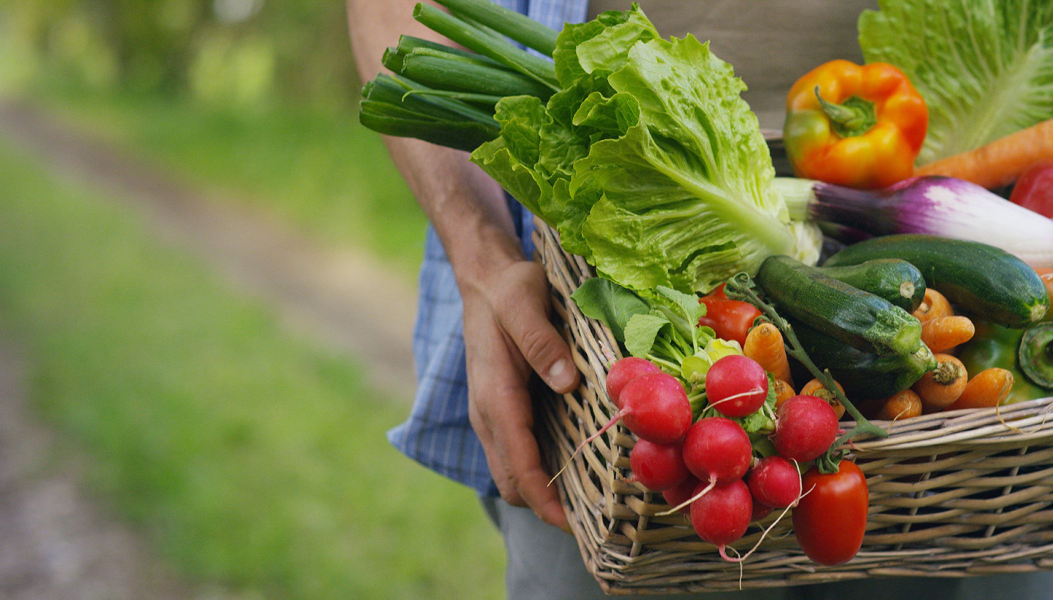 Les plus beaux marchés du Béarn