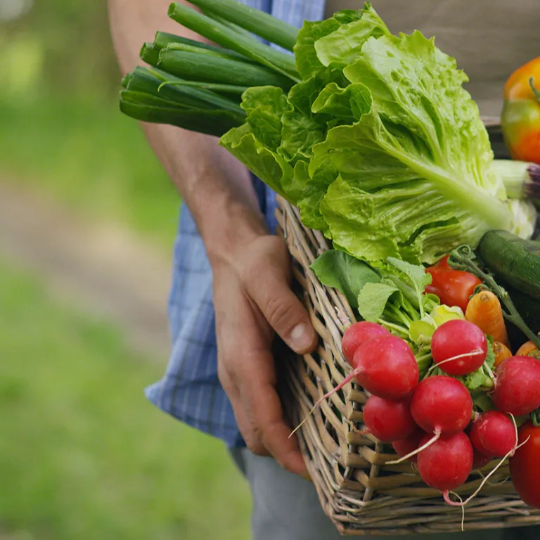 The most beautiful markets of Béarn