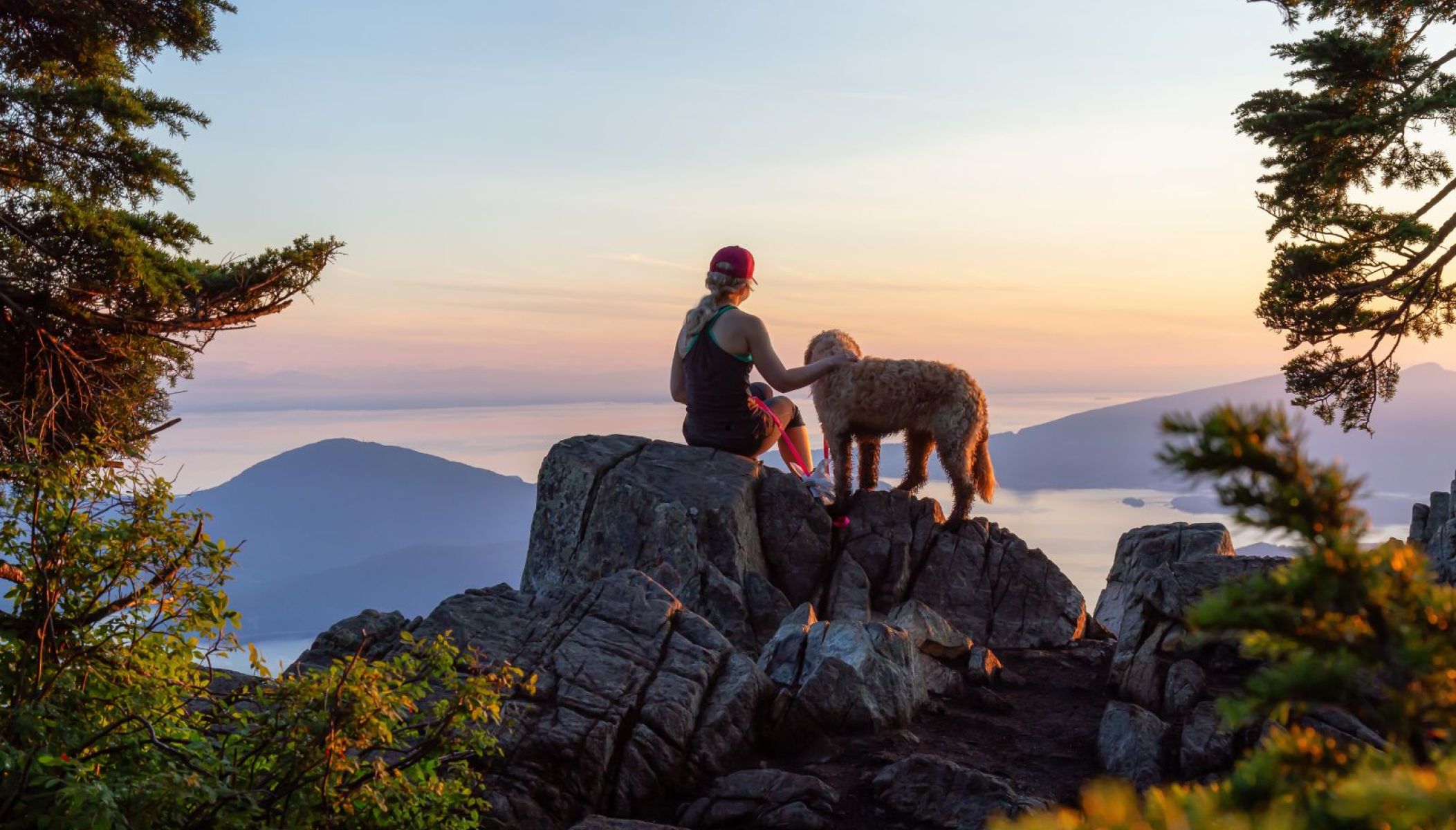 Les randonnées avec son chien dans les Pyrénées