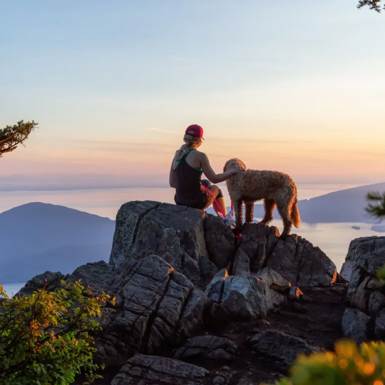 Hiking with your dog in the Pyrenees