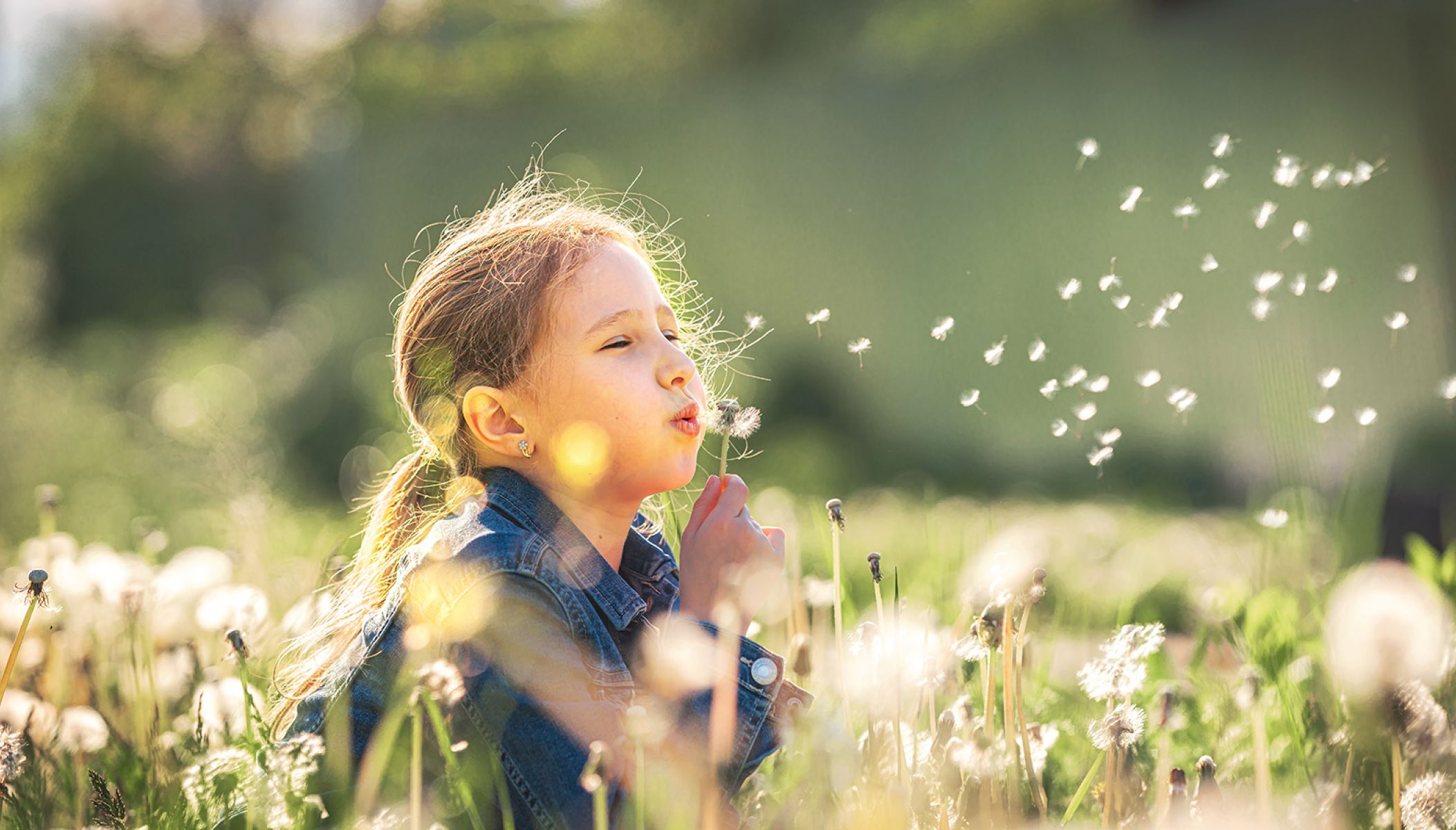 Le top 6 des activités gratuites à faire avec les enfants dans le Béarn Pyrénées