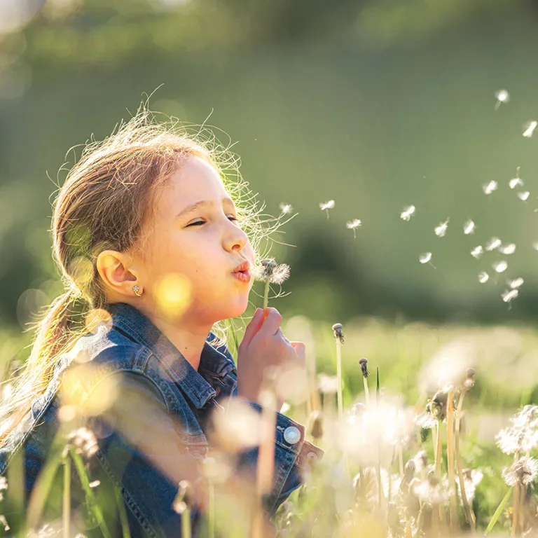 Top 6 free activities to do with children in B ...