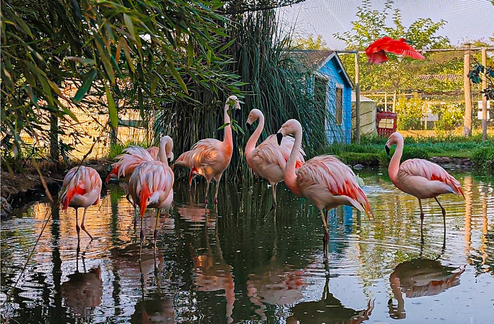 Exotic Park, une aventure zoologique à vivre e ...